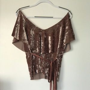 Soft Pink Velvet Zara Collection Top